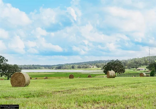 Land for sale at Covington Rd, DADE CITY, FL 33525 | MLS# TB8529851