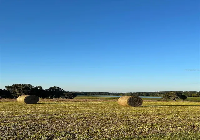 Photo 2 of Land for sale at Covington Rd, Dade City, FL 33525 | MLS# TB8529851 | Listing updated on 2026-08-11