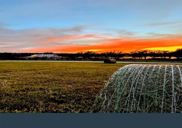 Photo 3 of Land for sale at Covington Rd, Dade City, FL 33525 | MLS# TB8529851 | Listing updated on 2026-08-11