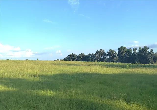 Photo 4 of Land for sale at Covington Rd, Dade City, FL 33525 | MLS# TB8529851 | Listing updated on 2026-08-11
