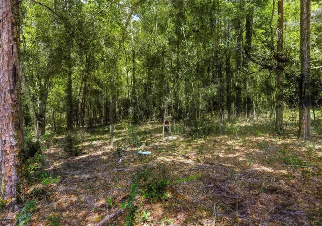 Photo 4 of Land for sale at Centennial Rd, Dade City, FL 33525 | MLS# TB8529872 | Listing updated on 2026-09-01
