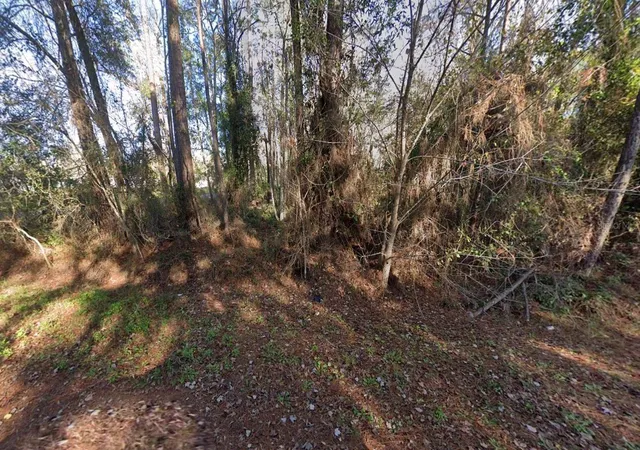 Photo 1 of Land for sale at 110 Pamela Dr, Satsuma, FL 32189 | MLS# W7887710 | Listing updated on 2026-08-07