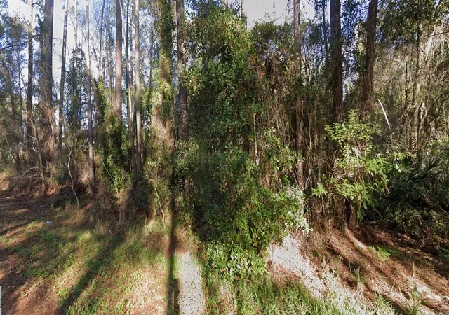 Photo 4 of Land for sale at 110 Pamela Dr, Satsuma, FL 32189 | MLS# W7887710 | Listing updated on 2026-08-07
