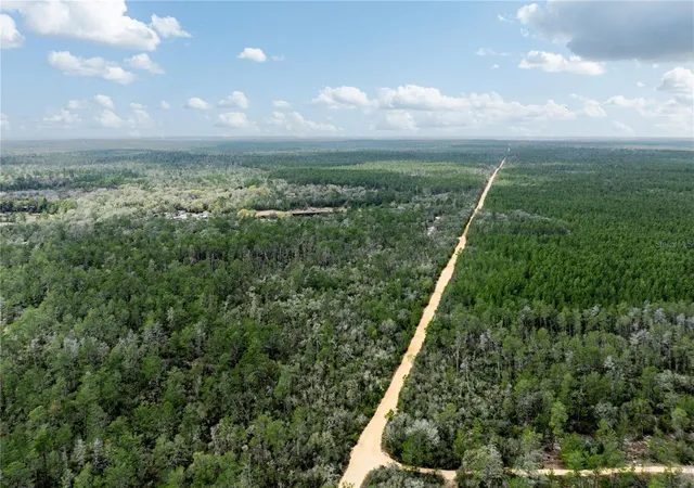 42nd image of 0 Forest Road 02 #1, Se 150th St, Umatilla, FL 32784 | MLS# G5115176