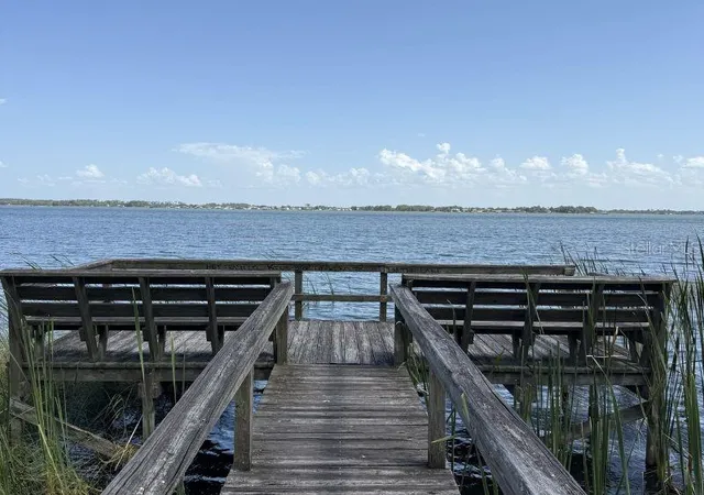 29th image of 2662 Mcdonald Ter, Mount Dora, FL 32757 | MLS# G5115184