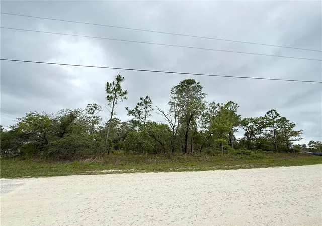 3rd image of 11200 Marvelwood Rd, Weeki Wachee, FL 34614 | MLS# TB8530052