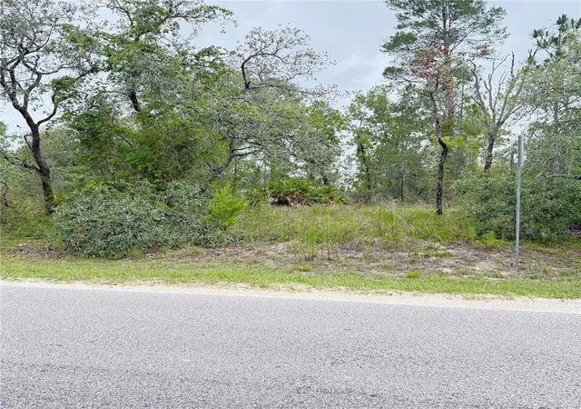 4th image of 11200 Marvelwood Rd, Weeki Wachee, FL 34614 | MLS# TB8530052