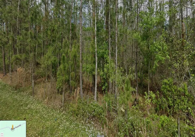 2nd image of 0 Green Pond Rd, Polk City, FL 33868 | MLS# TB8530066