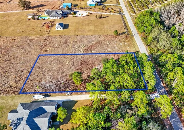 7th image of Sweet Hill Rd, Polk City, FL 33868 | MLS# O6425928