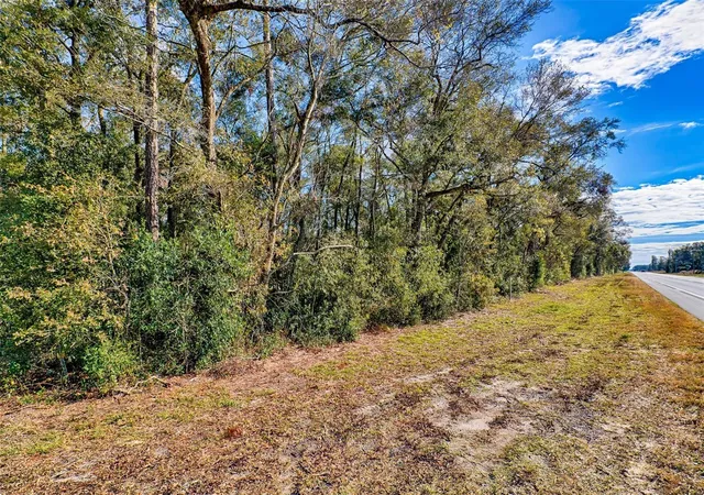 Photo 1 of Land for sale at S Us Hwy 129, Bell, FL 32619 | MLS# S5153899 | Listing updated on 2026-09-16