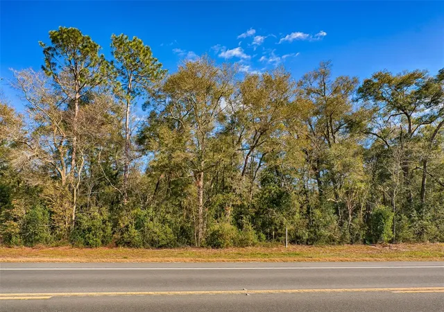 Photo 3 of Land for sale at S Us Hwy 129, Bell, FL 32619 | MLS# S5153899 | Listing updated on 2026-09-16