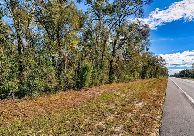 Photo 3 of Land for sale at S US Hwy 129, Bell, FL 32619 | MLS# S5153899 | Listing updated on 2026-09-16