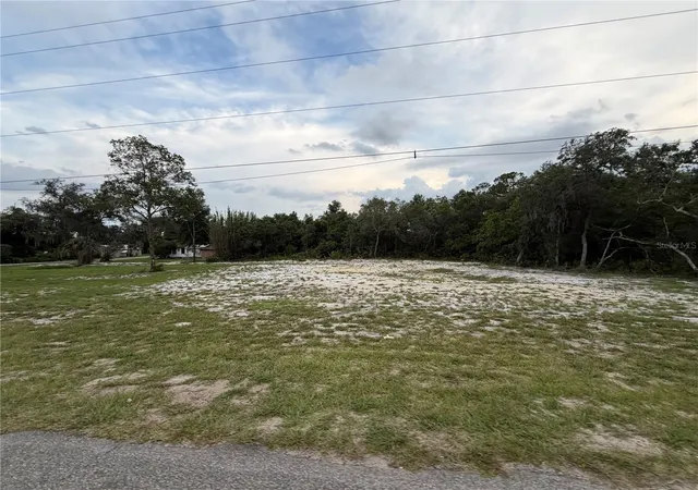 Photo 4 of Land for sale at County Rd 42, De Land, FL 32720 | MLS# O6425933 | Listing updated on 2026-07-17
