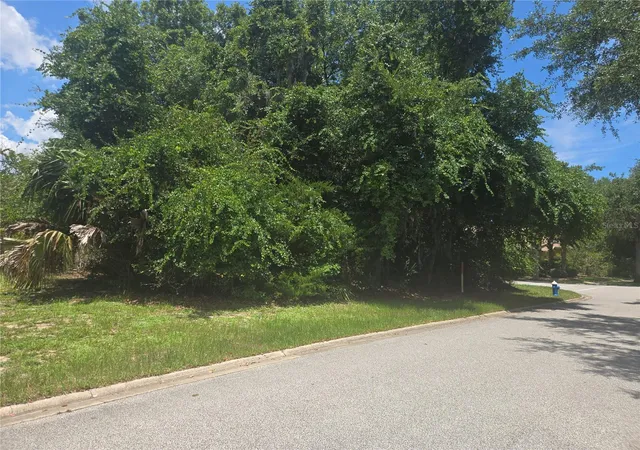 Photo 2 of Land for sale at 29 Creekside Dr, Palm Coast, FL 32137 | MLS# FC320022 | Listing updated on 2026-07-18