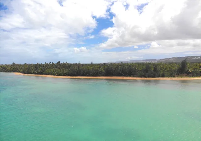 Photo 3 of Land for sale at 968 Camino Las Picuas #26-30, Rio Grande, PR 00745 | MLS# PR9122830 | Listing updated on 2026-07-19