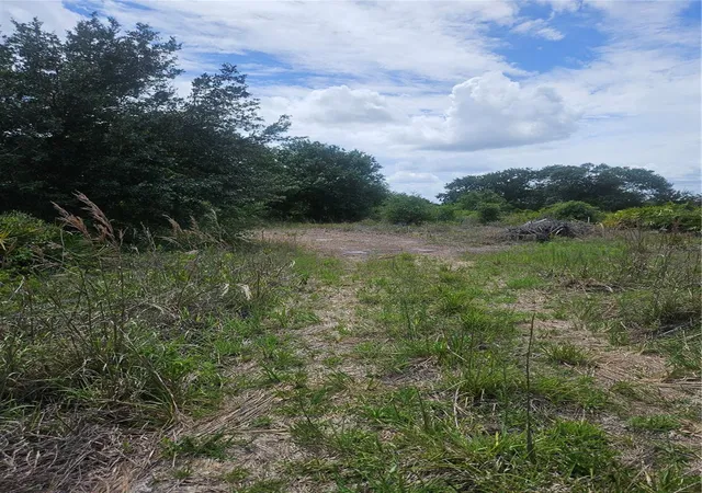 Land for sale at 1865 NE Cross Ave, ARCADIA, FL 34266 | MLS# A4700291