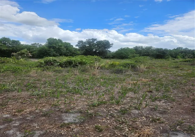 Photo 3 of Land for sale at 1865 Ne Cross Ave, Arcadia, FL 34266 | MLS# A4700291 | Listing updated on 2026-08-24
