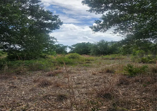 Photo 4 of Land for sale at 1865 NE Cross Ave, Arcadia, FL 34266 | MLS# A4700291 | Listing updated on 2026-08-24
