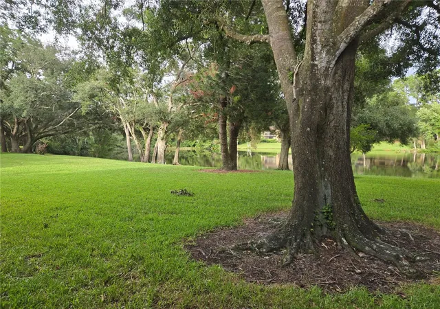 33rd image of 11805 Skylake Pl #C, Temple Terrace, FL 33617 | MLS# TB8530220
