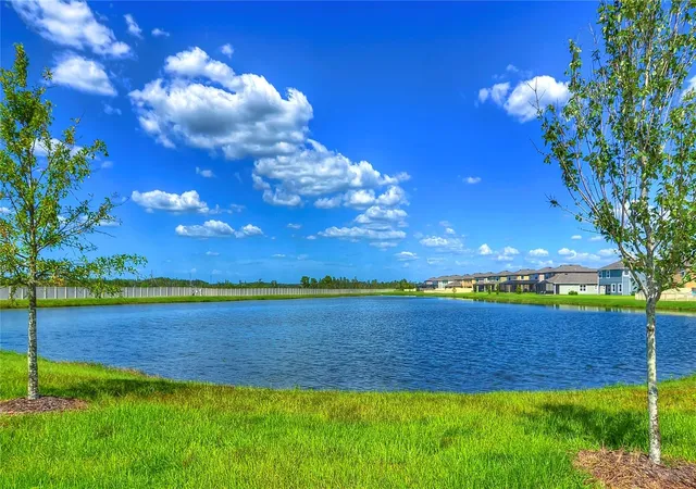 78th image of 1621 Leaf Flower Ln, Lutz, FL 33558 | MLS# TB8530238