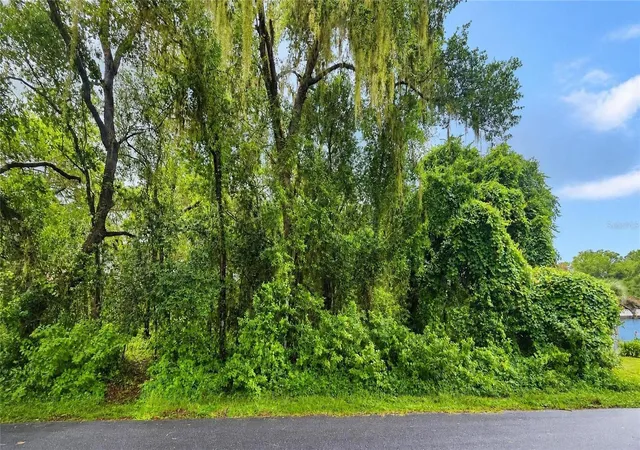 Photo 1 of Land for sale at 6034 E Sage St, Inverness, FL 34452 | MLS# G5115233 | Listing updated on 2026-08-06