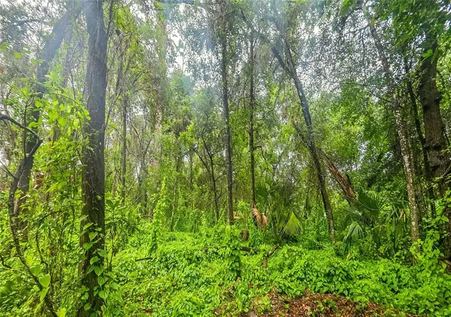 Photo 2 of Land for sale at 6034 E Sage St, Inverness, FL 34452 | MLS# G5115233 | Listing updated on 2026-08-06