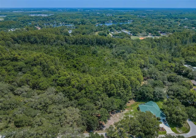 3rd image of Coqui Court, Odessa, FL 33556 | MLS# TB8530244