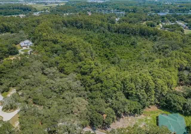 4th image of Coqui Court, Odessa, FL 33556 | MLS# TB8530244