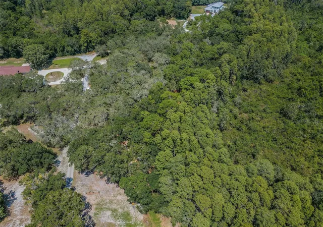 5th image of Coqui Court, Odessa, FL 33556 | MLS# TB8530244