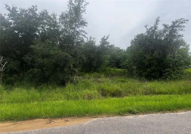 4th image of 2370 Lake Easy Rd, Babson Park, FL 33827 | MLS# P4939344