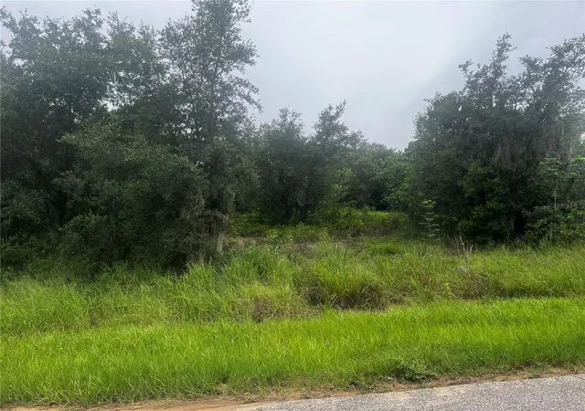 5th image of 2370 Lake Easy Rd, Babson Park, FL 33827 | MLS# P4939344