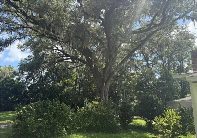 Photo 23 of Single family home for sale at 298 N Court St, Bronson, FL 32621 | MLS# GC542045 | Listing updated on 2026-07-21