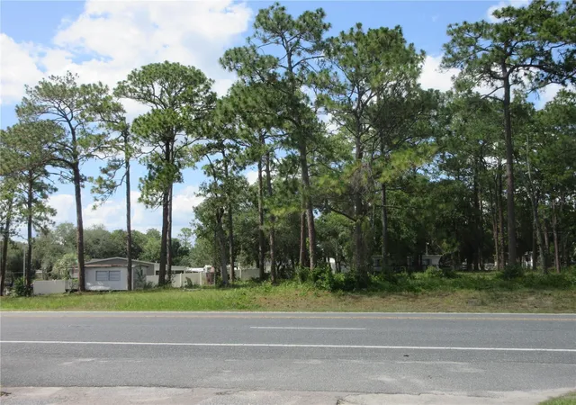 Photo 2 of Land for sale at 787 Se 162nd Terrace, Silver Springs, FL 34488 | MLS# OM728703 | Listing updated on 2026-07-18