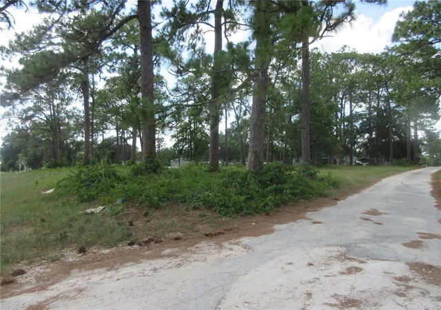 Photo 4 of Land for sale at 787 SE 162nd Terrace, Silver Springs, FL 34488 | MLS# OM728703 | Listing updated on 2026-07-18