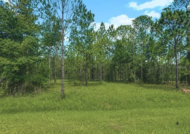 4th image of 3250 Plumosa Dr, Indian Lake Estates, FL 33855 | MLS# S5153941