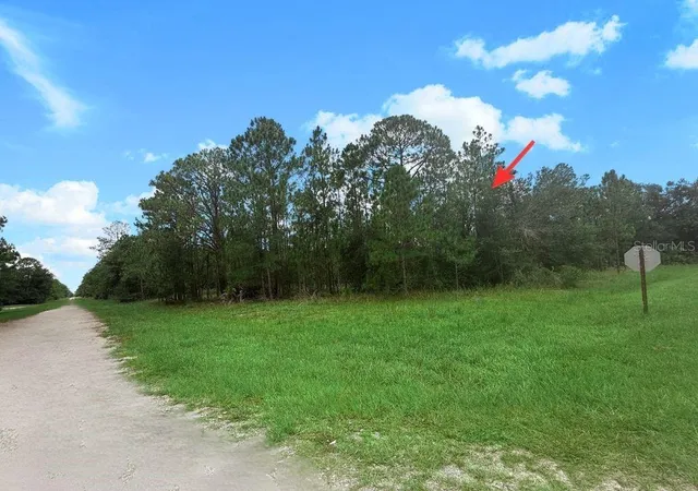 5th image of 3250 Plumosa Dr, Indian Lake Estates, FL 33855 | MLS# S5153941