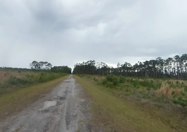 5th image of Gallardia Dr, Indian Lake Estates, FL 33855 | MLS# D6148127