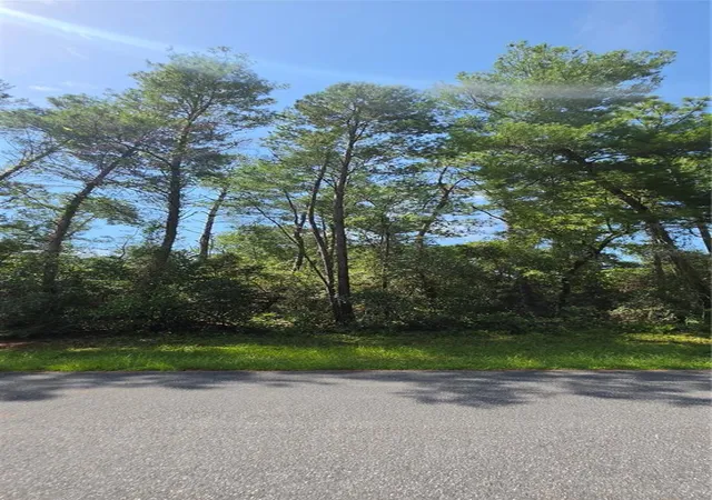 Photo 4 of Land for sale at 0 SW 151 Place, Ocala, FL 34473 | MLS# O6426131 | Listing updated on 2026-08-10