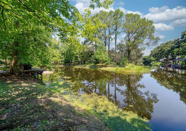 Photo 4 of Single family home for sale at 12085 Sandy Shrs Dr, Windermere, FL 34786 | MLS# O6426164 | Listing updated on 2026-10-16