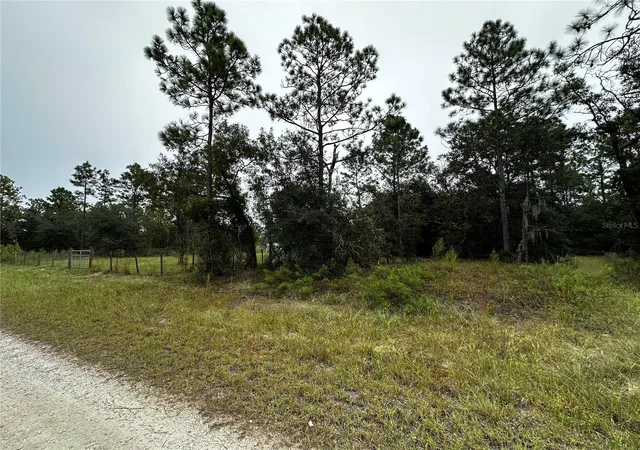 Land for sale at Tbd SE 136th Avenue, DUNNELLON, FL 34431 | MLS# OM728715