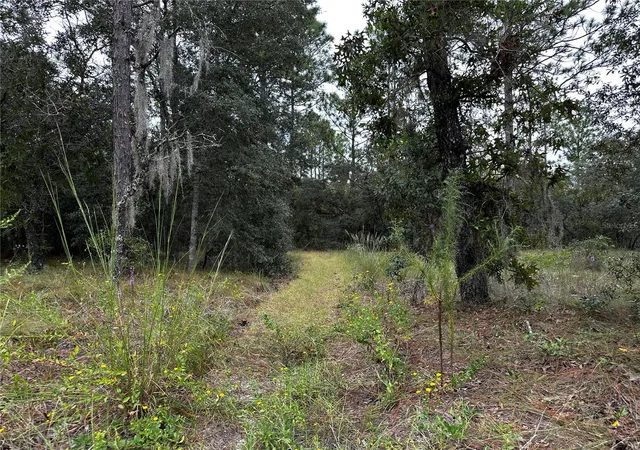 Photo 2 of Land for sale at Tbd SE 136th Avenue, Dunnellon, FL 34431 | MLS# OM728715 | Listing updated on 2026-10-09