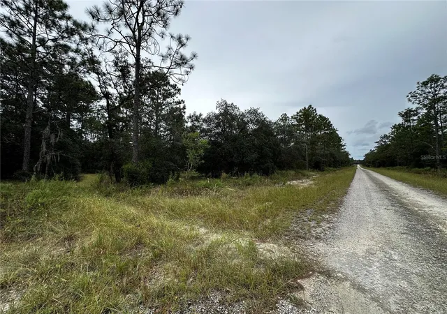 Photo 3 of Land for sale at Tbd SE 136th Avenue, Dunnellon, FL 34431 | MLS# OM728715 | Listing updated on 2026-10-09