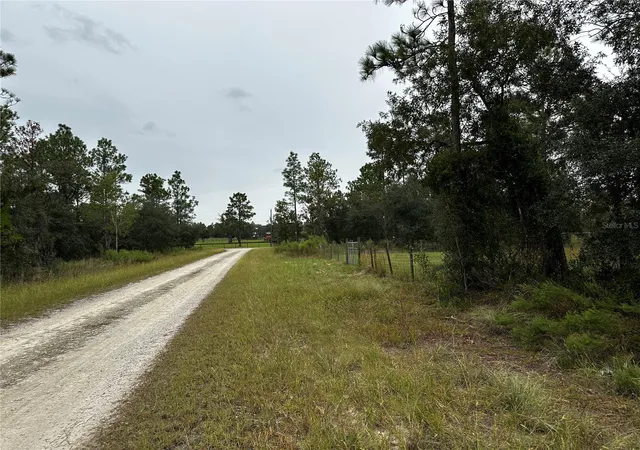 Photo 4 of Land for sale at Tbd SE 136th Avenue, Dunnellon, FL 34431 | MLS# OM728715 | Listing updated on 2026-10-09