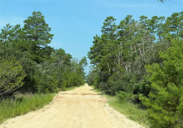 Photo 3 of Land for sale at 0 Se 150th Forest 02 #3 St, Umatilla, FL 32784 | MLS# G5115246 | Listing updated on 2026-09-22