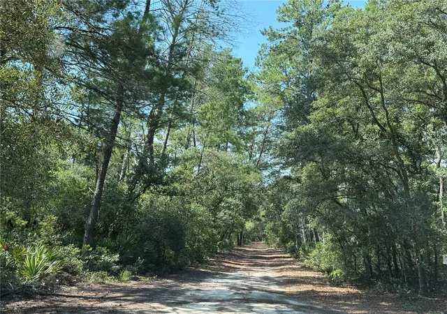 Photo 3 of Land for sale at 0 SE 150th Forest 02 #3 St, Umatilla, FL 32784 | MLS# G5115246 | Listing updated on 2026-09-22