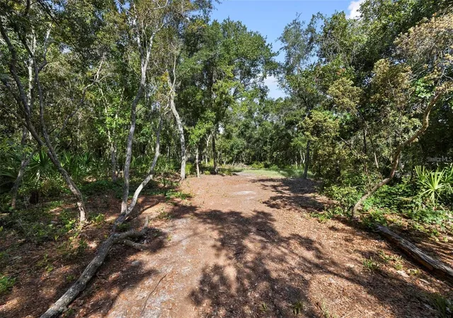13th image of Doyle Rd, Deltona, FL 32738 | MLS# V4950281