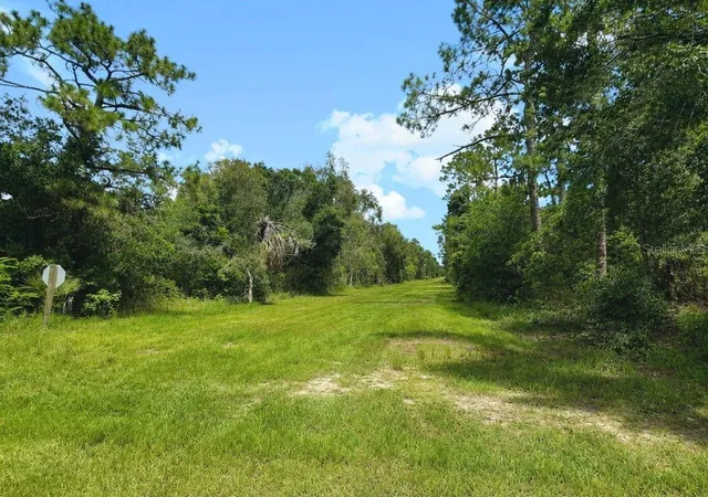 1st image of Blk 254 Lot 7 El Dorado Dr, Indian Lake Estates, FL 33855 | MLS# S5153966