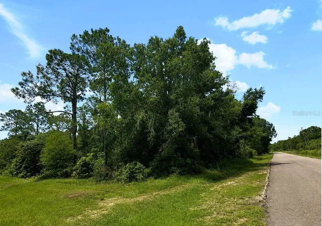 5th image of Blk 254 Lot 7 El Dorado Dr, Indian Lake Estates, FL 33855 | MLS# S5153966