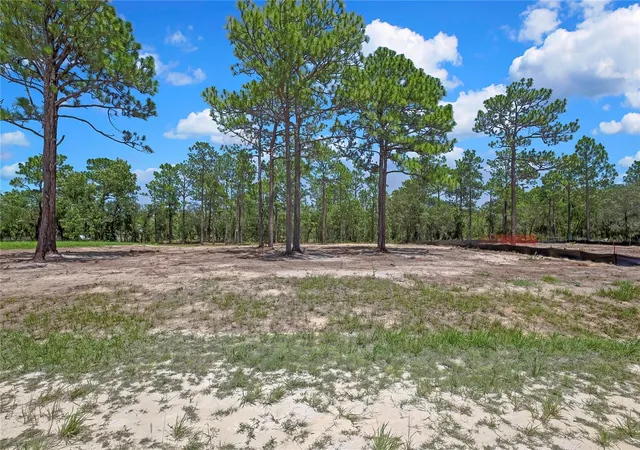 Photo 3 of Land for sale at 16116 Medrick Rd, Brooksville, FL 34614 | MLS# TB8530485 | Listing updated on 2026-09-24