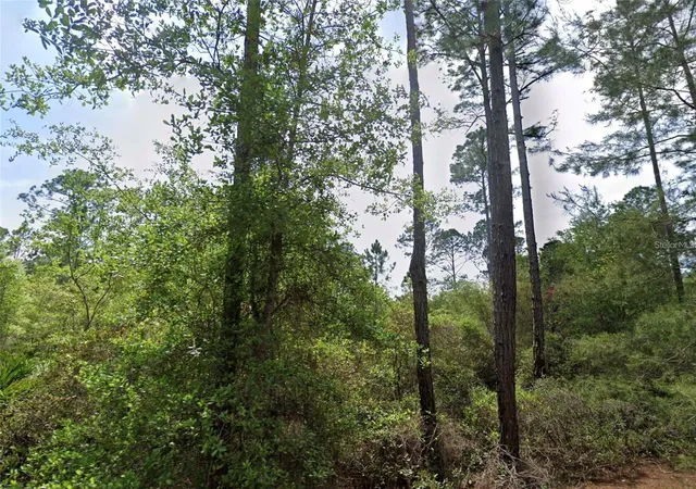Photo 1 of Land for sale at 126 And 128 Grandale St, Georgetown, FL 32139 | MLS# O6426251 | Listing updated on 2026-07-20